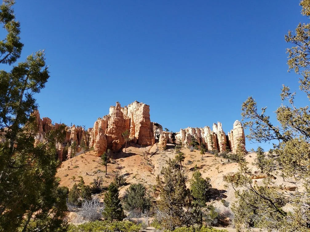 Mossy Cave Trail