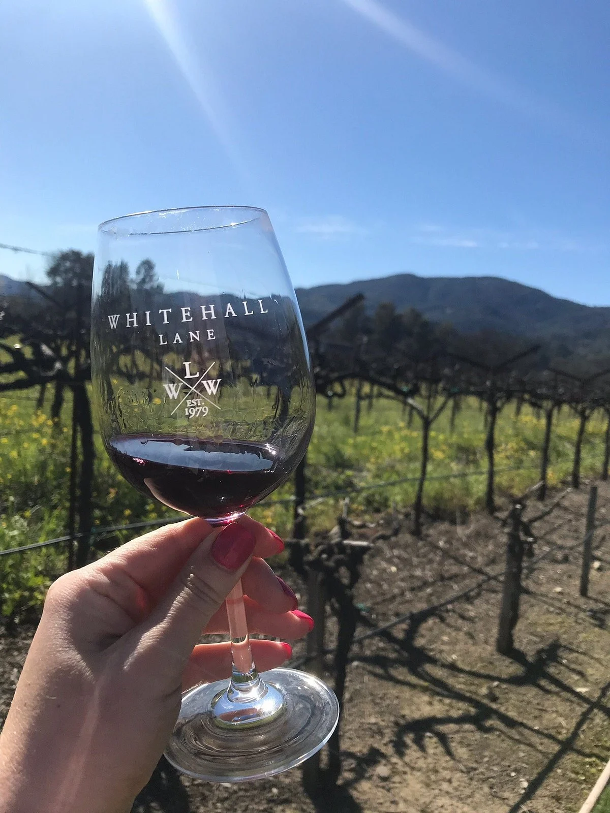 Whitehall Lane Winery