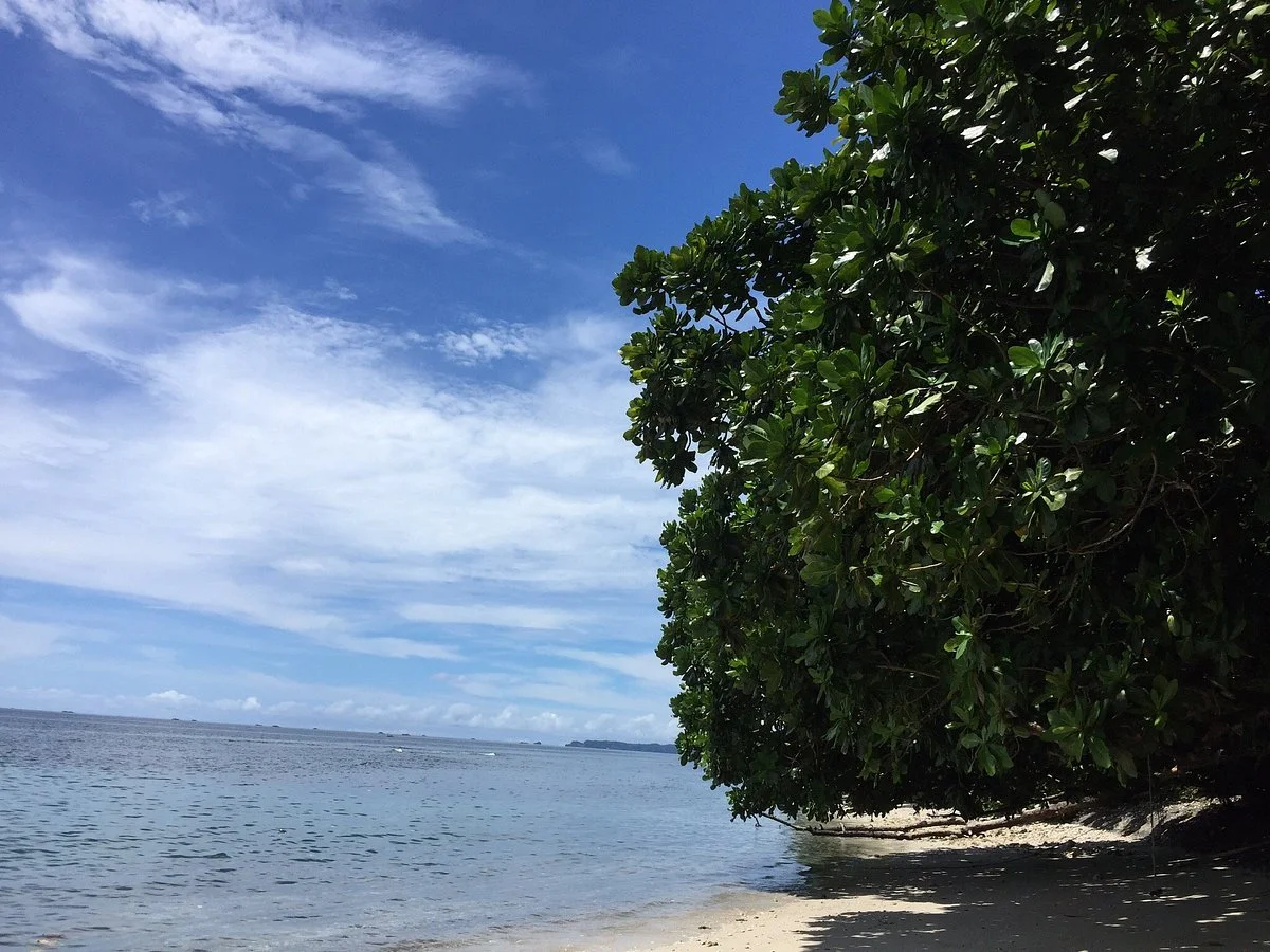Tangkoko National Reserve