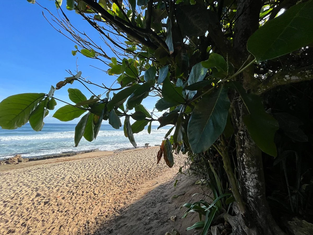 Los Almendros Beach