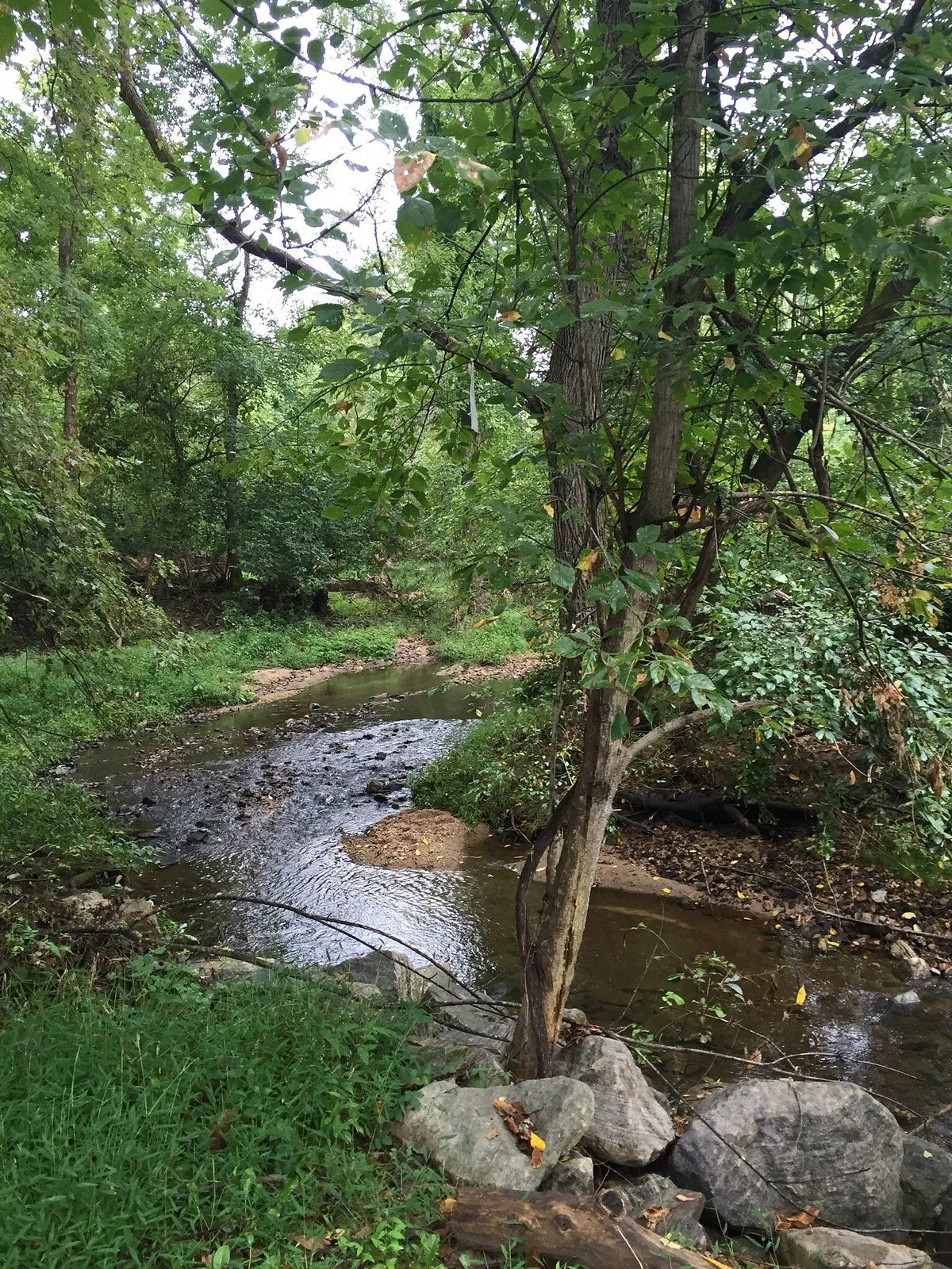 Font Hills Wetlands Park