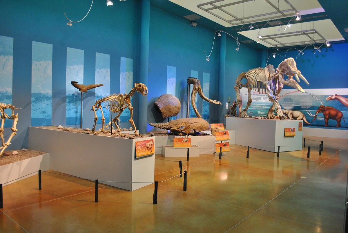 Museo del Disierto Chihuahuense