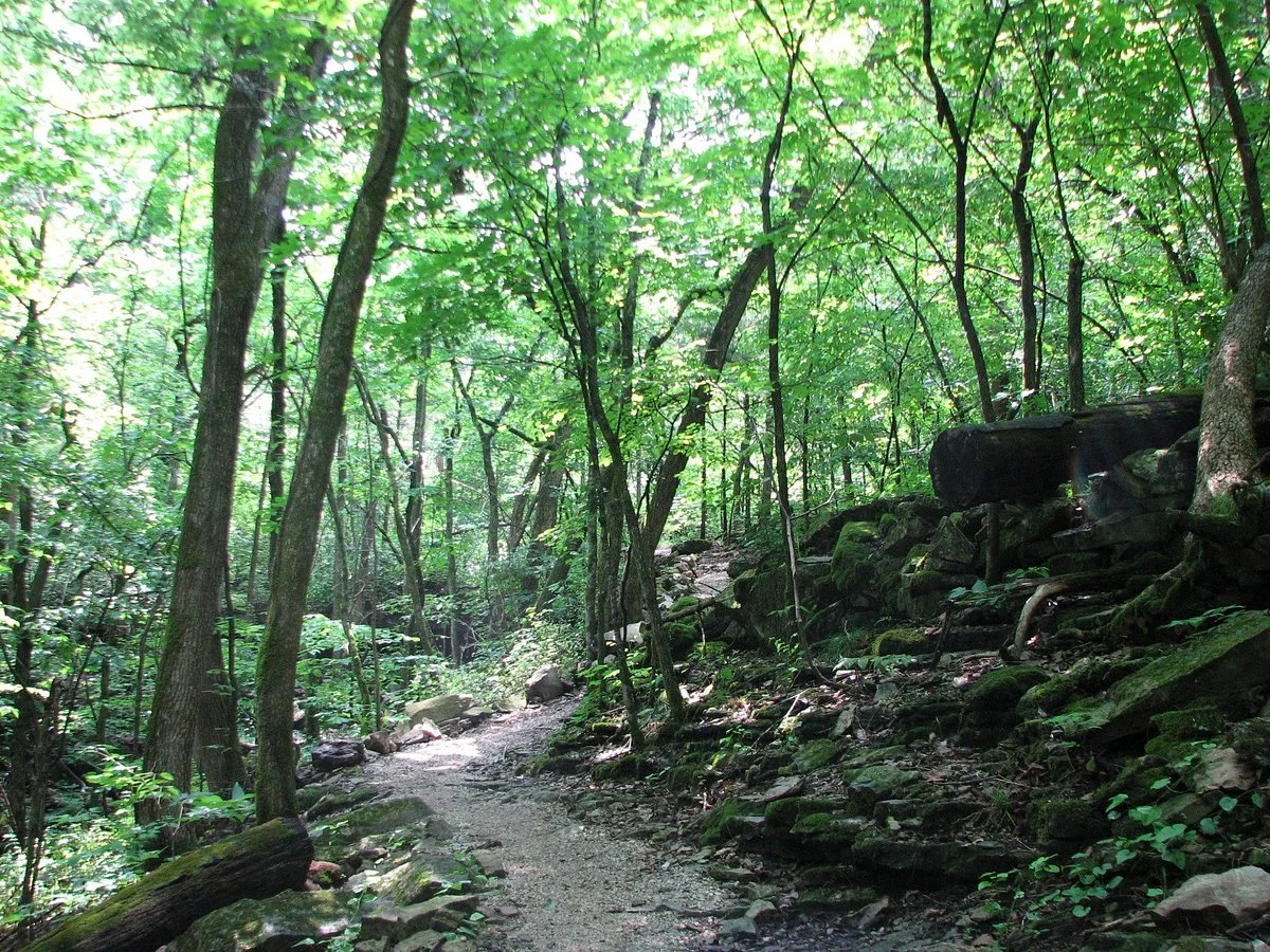 White River Valley Trail