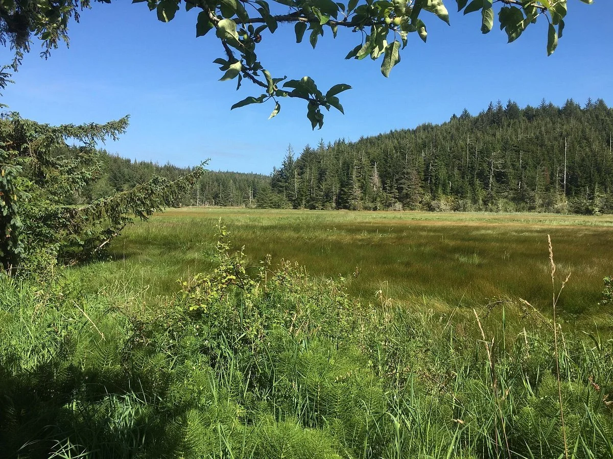 South Slough National Estuarine Research Reserve