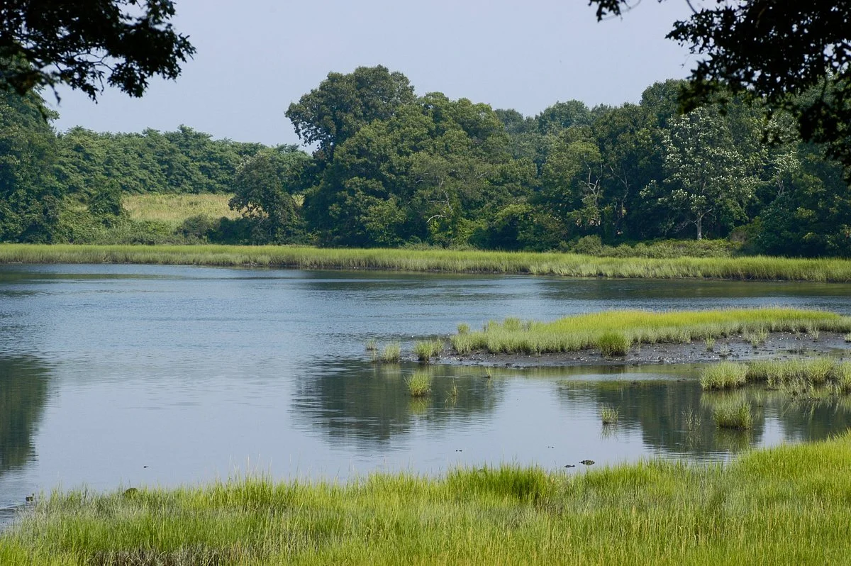 Touisset Marsh Wildlife Refuge