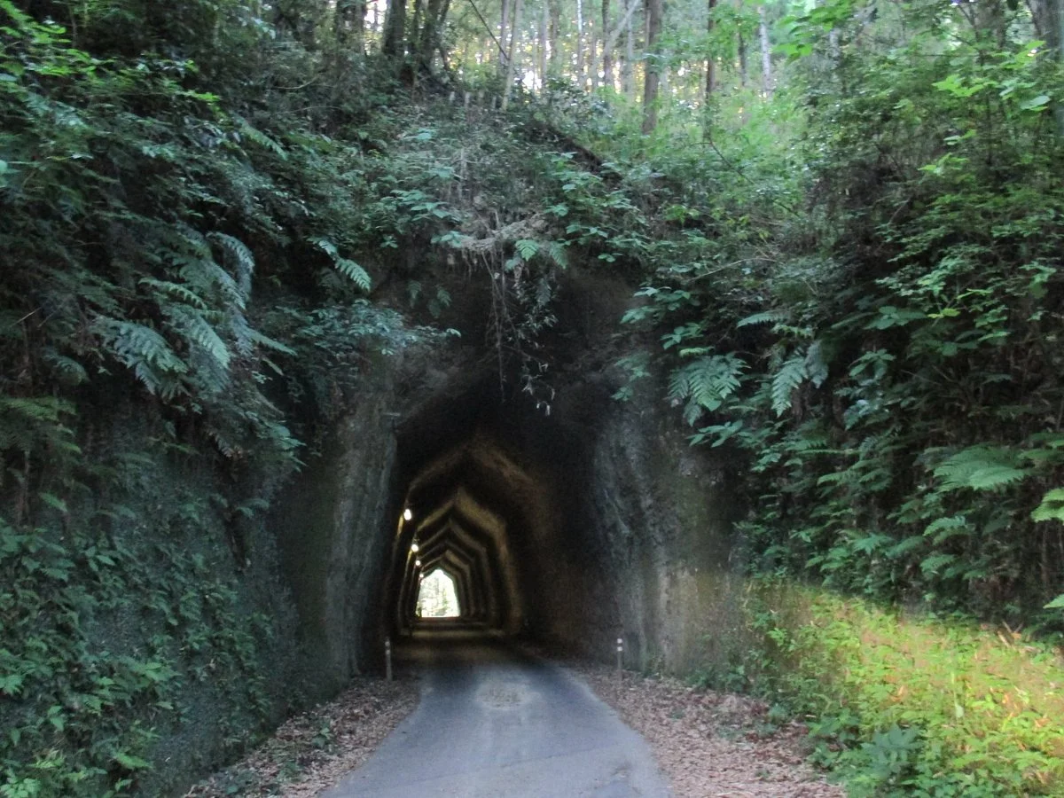 Kakinokidai Tunnel