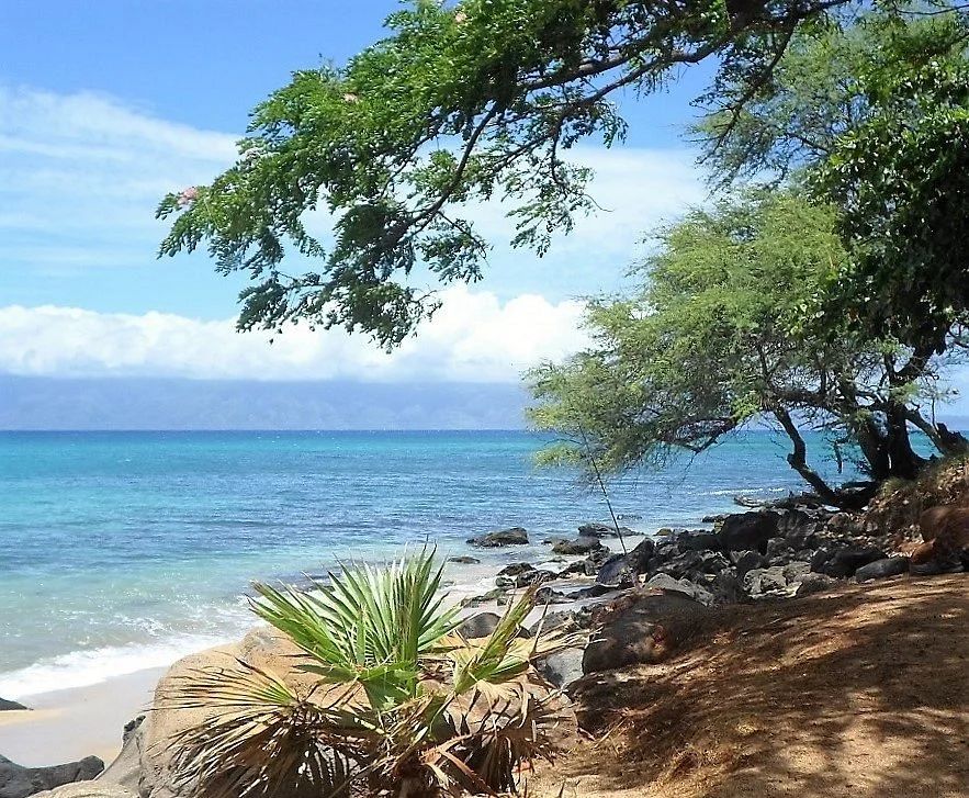 PoHaku Park