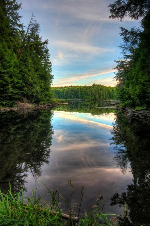 Hemlock Bluff Trail