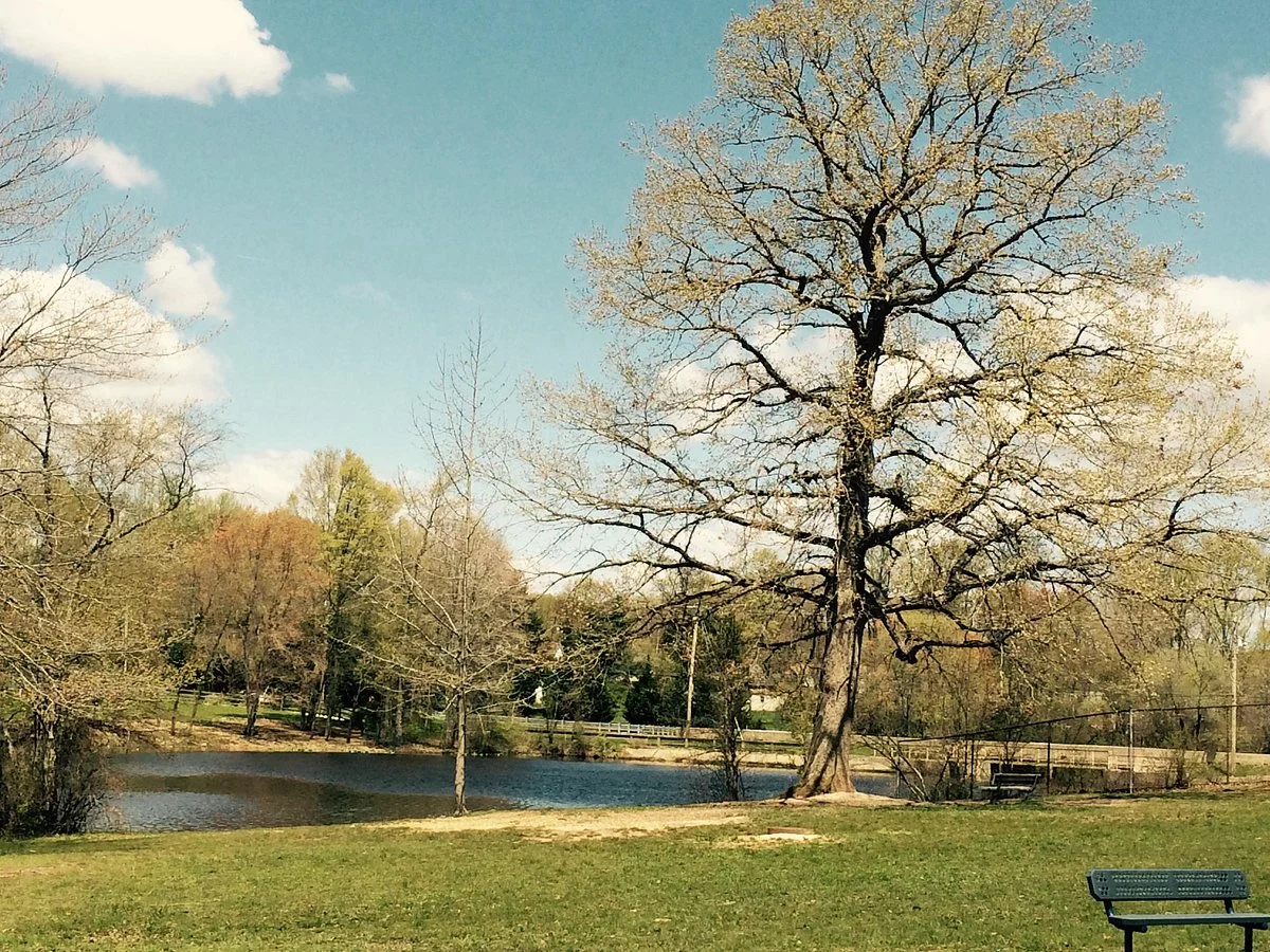 Beck's Pond Park