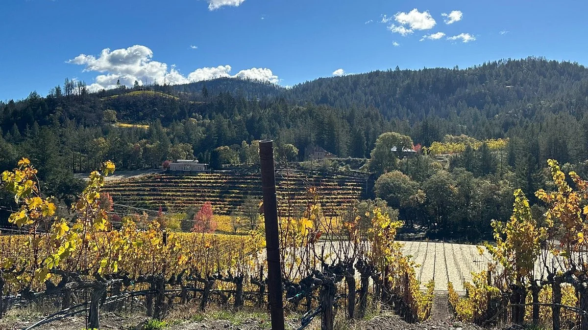 Diamond Creek Vineyards