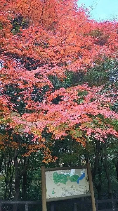 Midori no Bunkaen