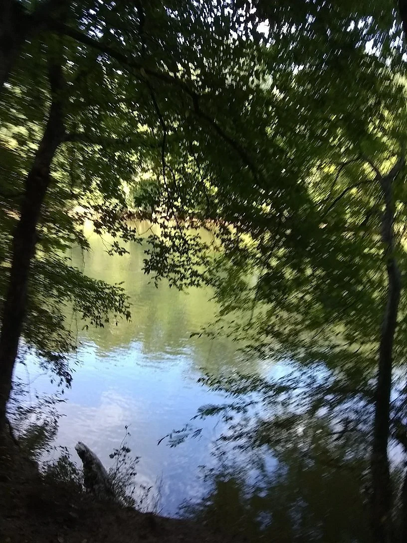 Island Ford Park