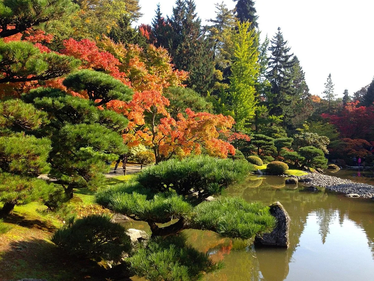 Washington Park Arboretum