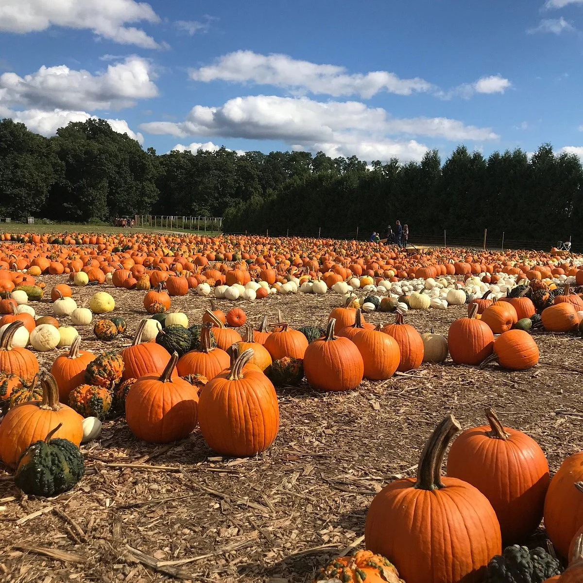 Parlee Farms