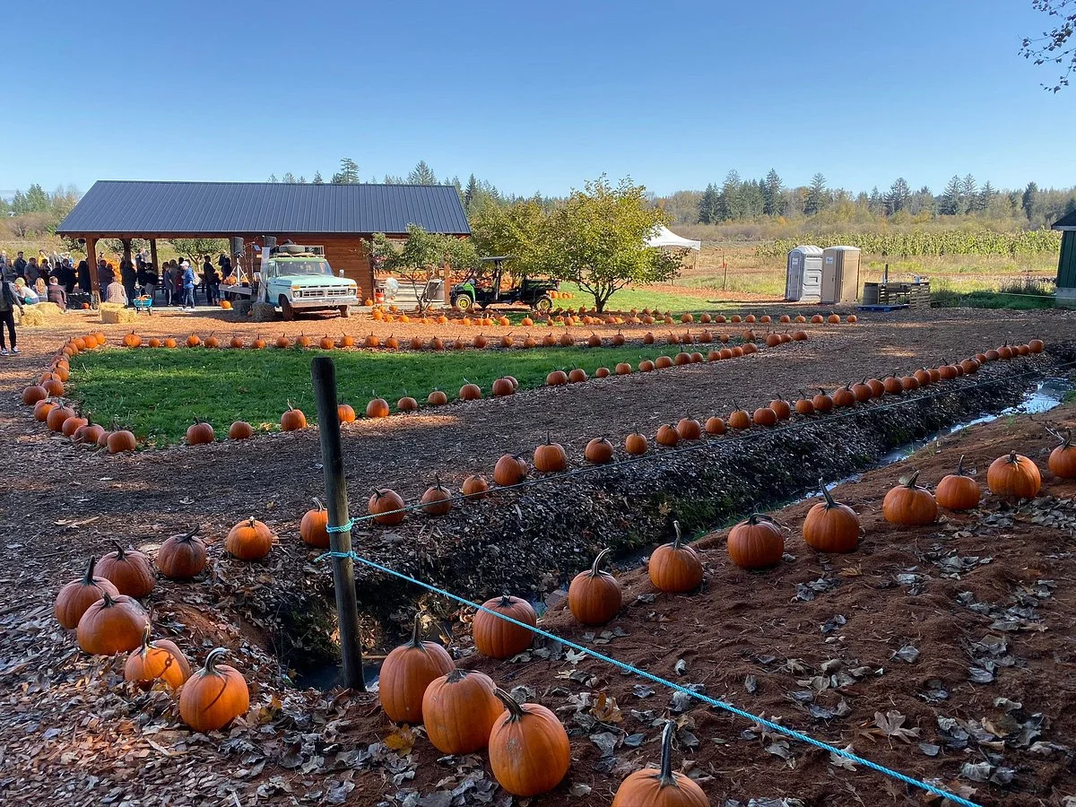 Coastal Black Estate Winery
