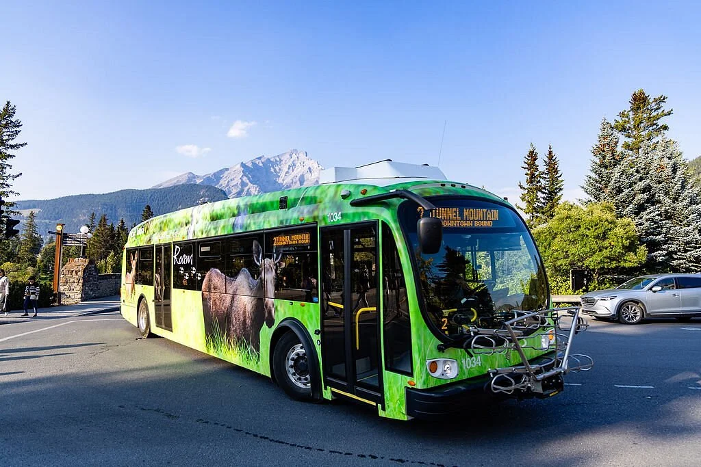 Roam Public Transit Service