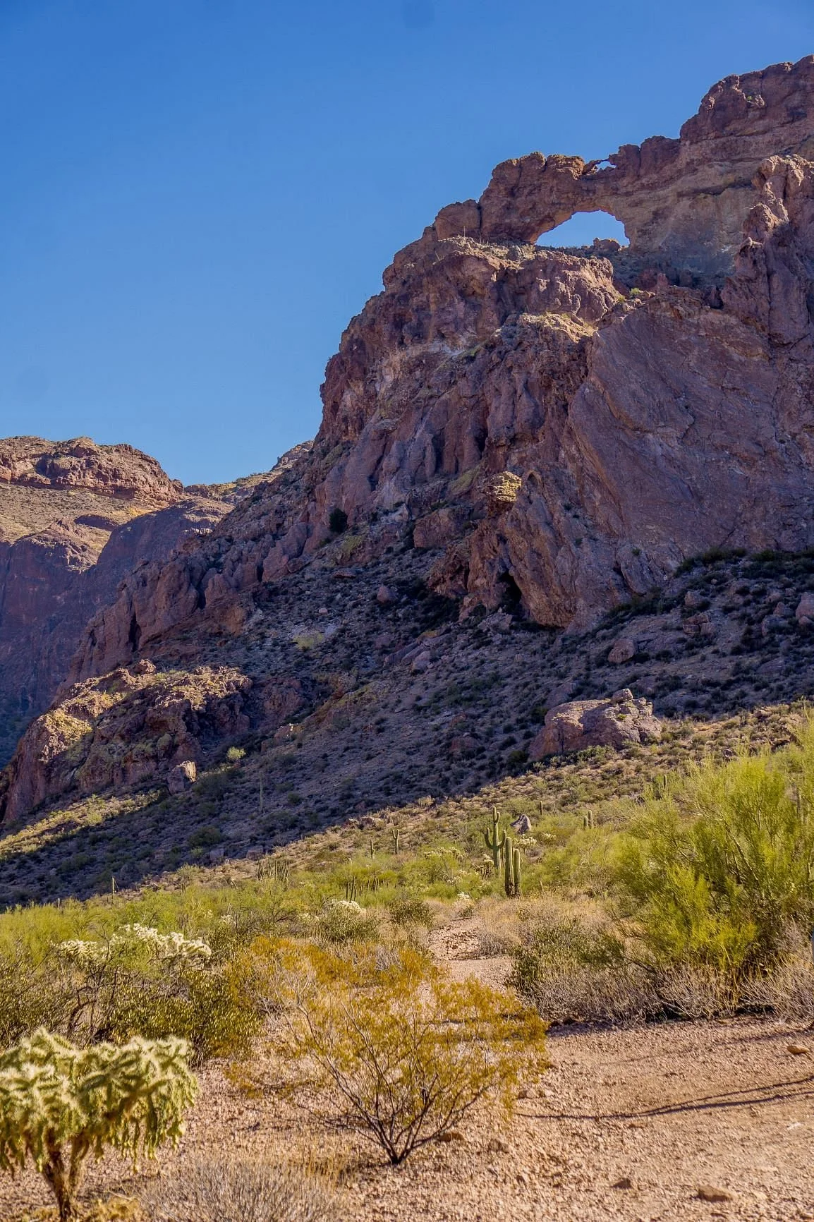 Arch Canyon Trail