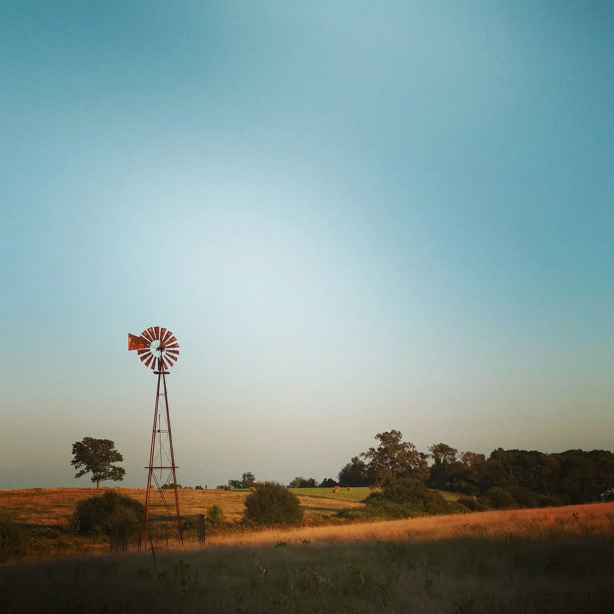 Happy Landings Farm