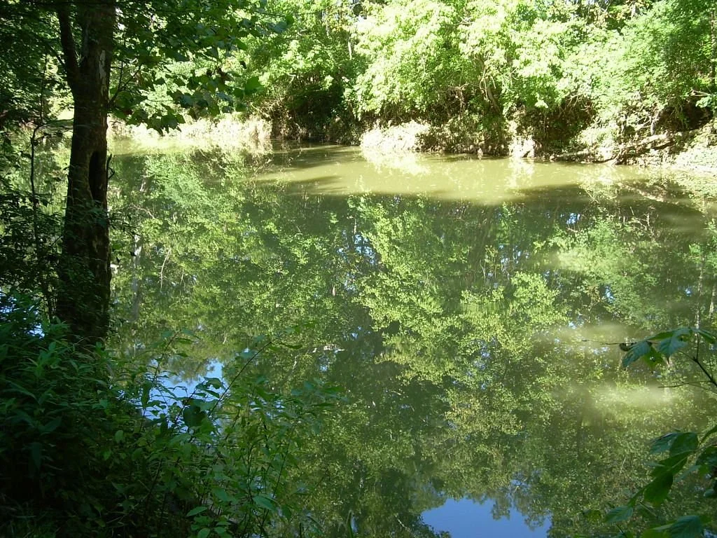 Beckley Creek Park