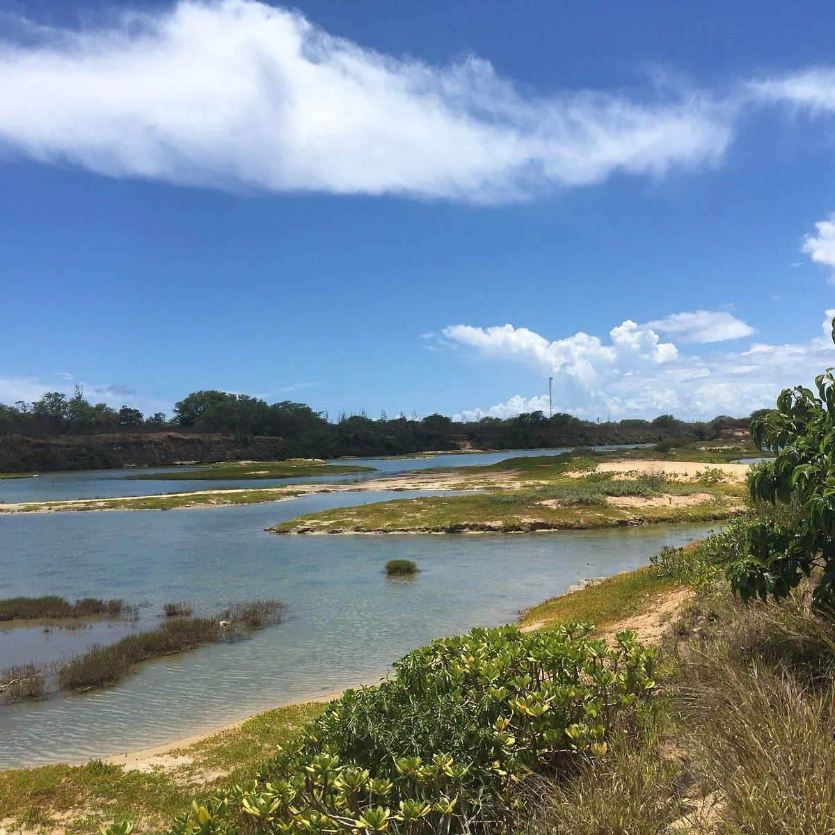 Kawai‘ele Waterbird Sanctuary