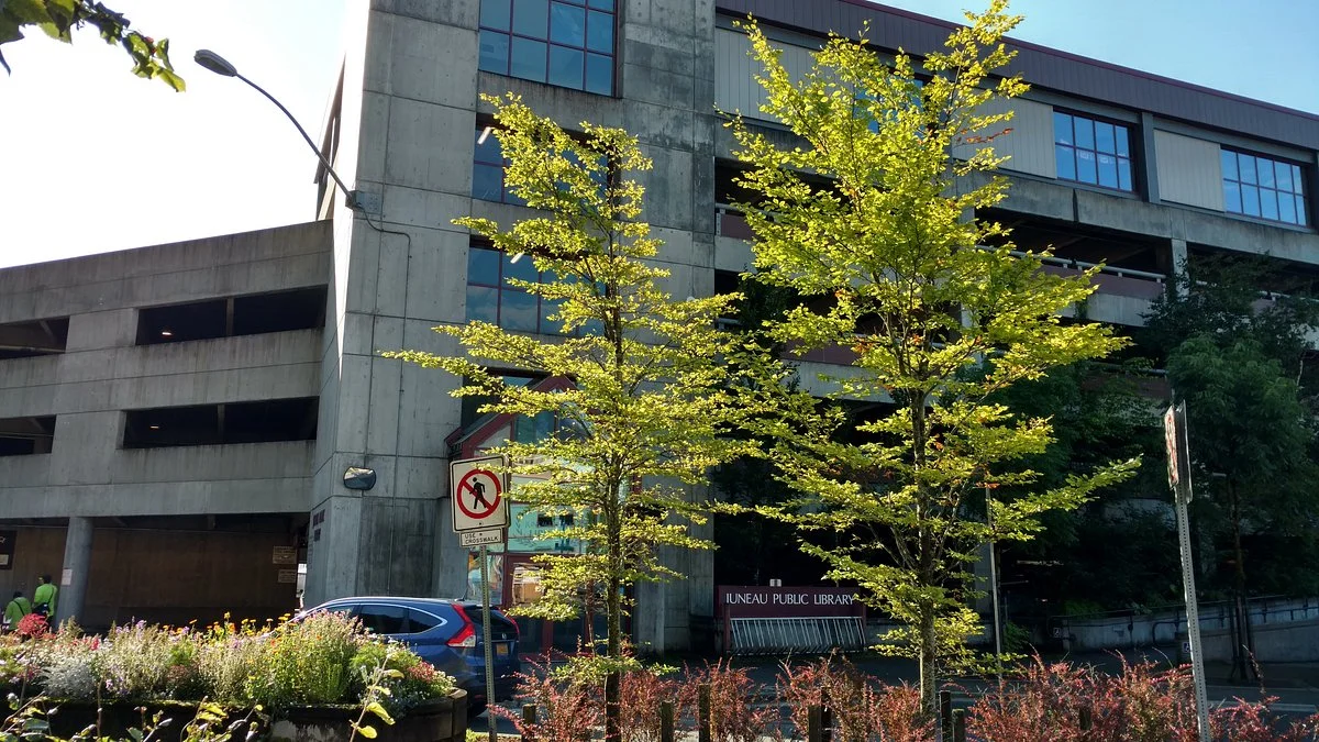 Juneau municipal library