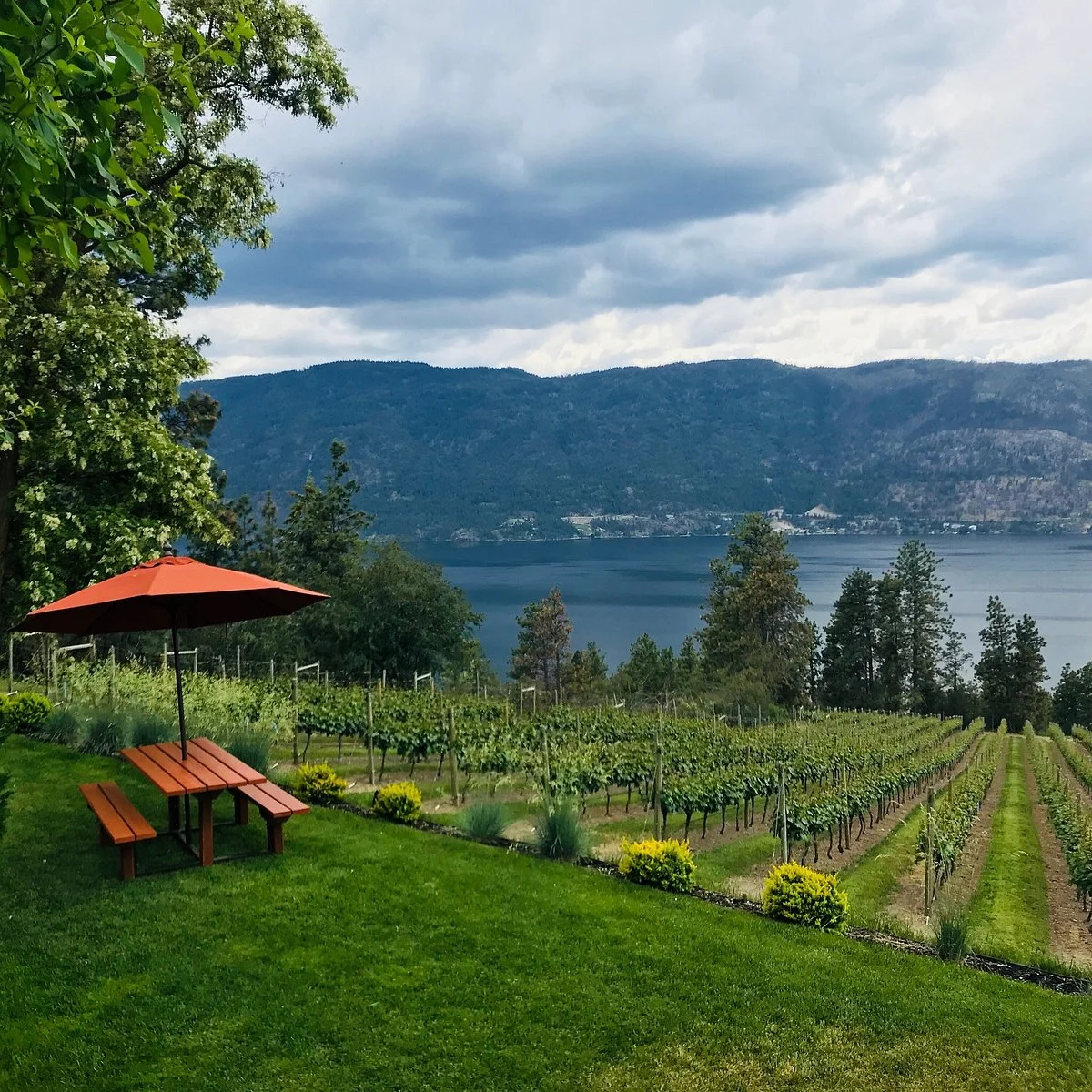 Arrowleaf Cellars