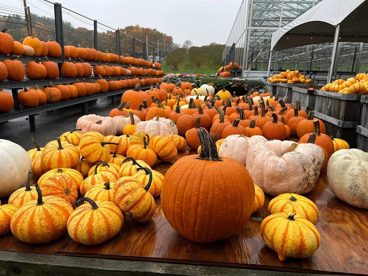 Ferjulians Farm Stand