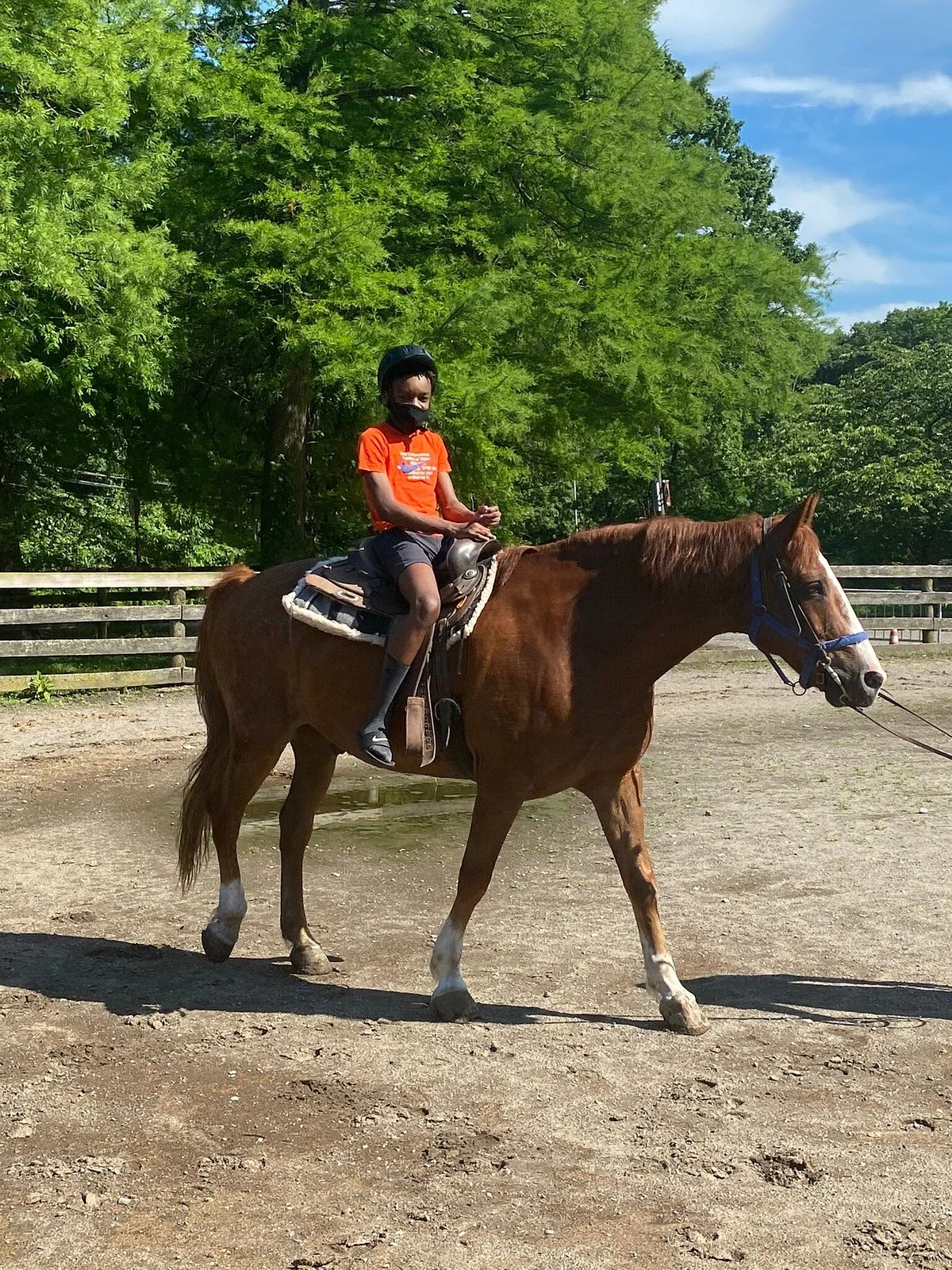 Bronx Equestrian Center