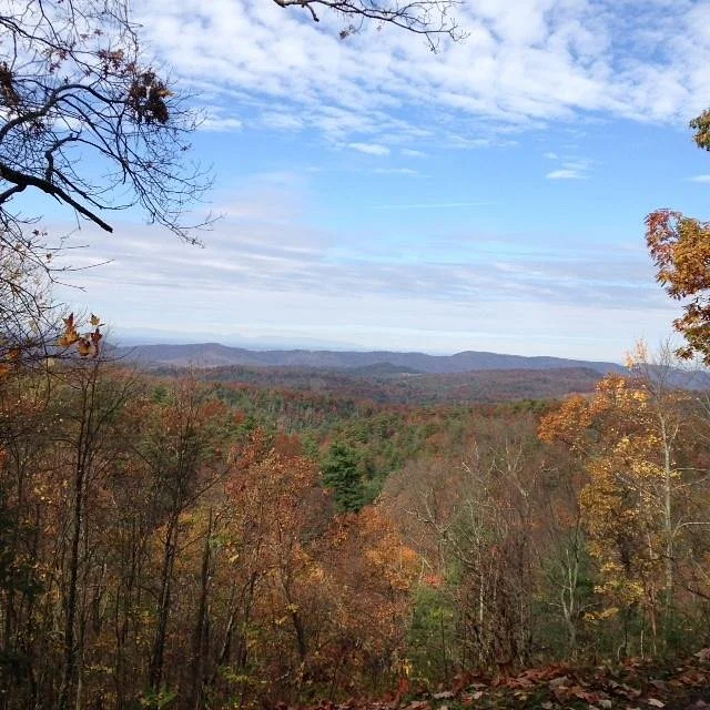 Rich Mountain Road