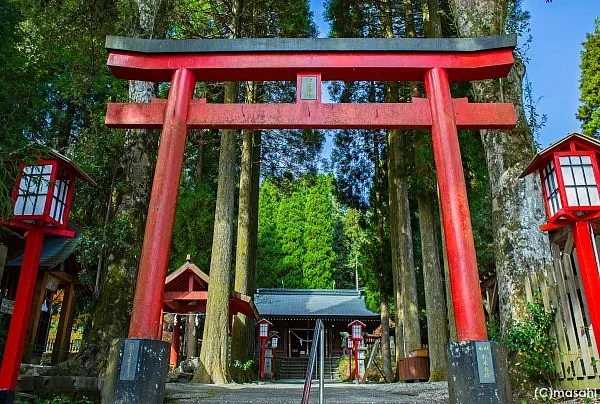 Wake Shrine
