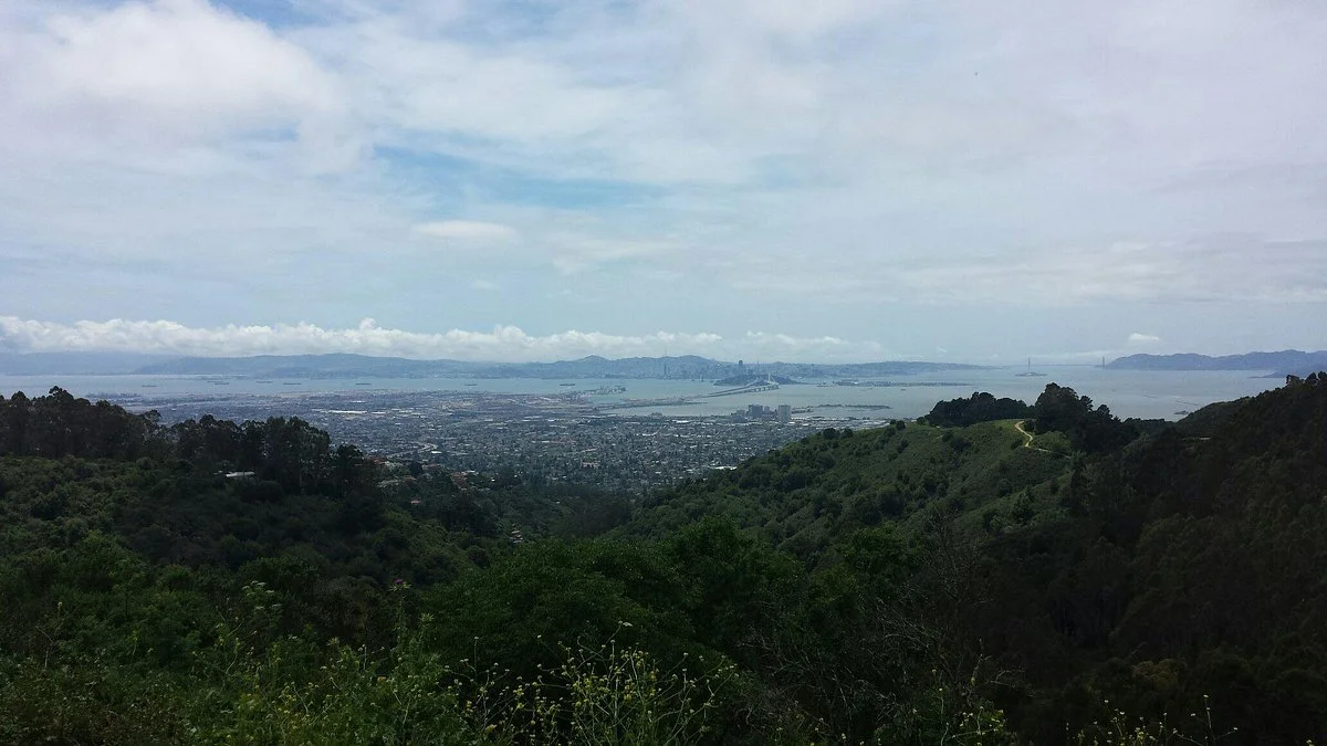 Tilden Nature Area