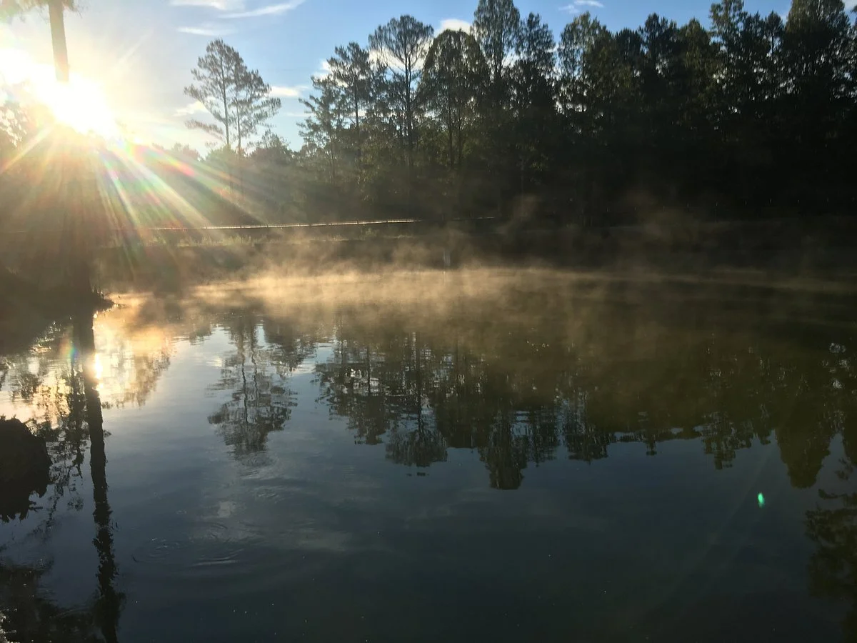 Cumberland Falls Farm