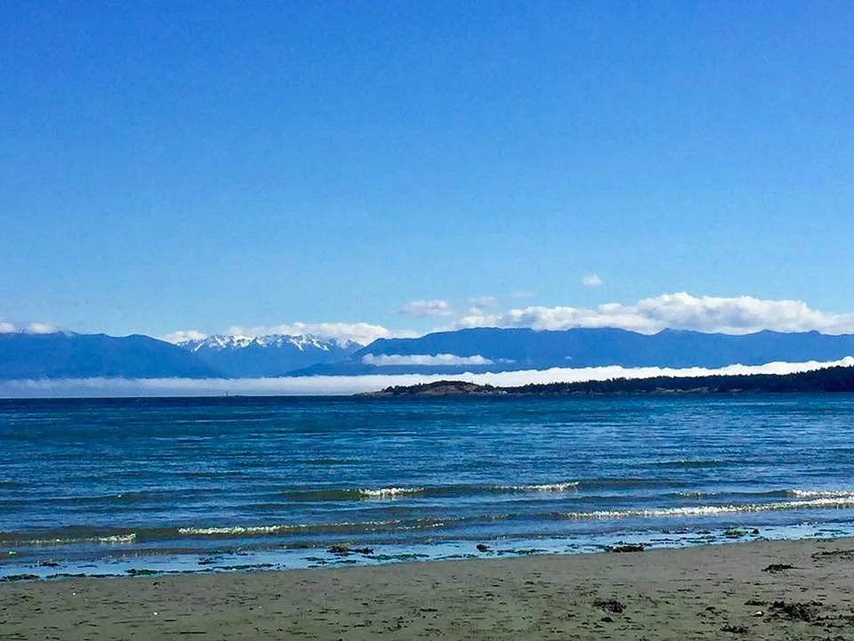 Witty's Lagoon Regional Park