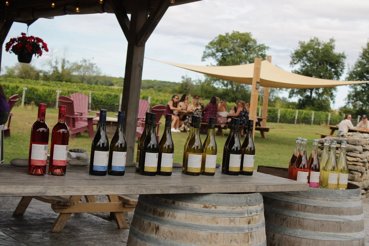 Sugarbush Vineyards