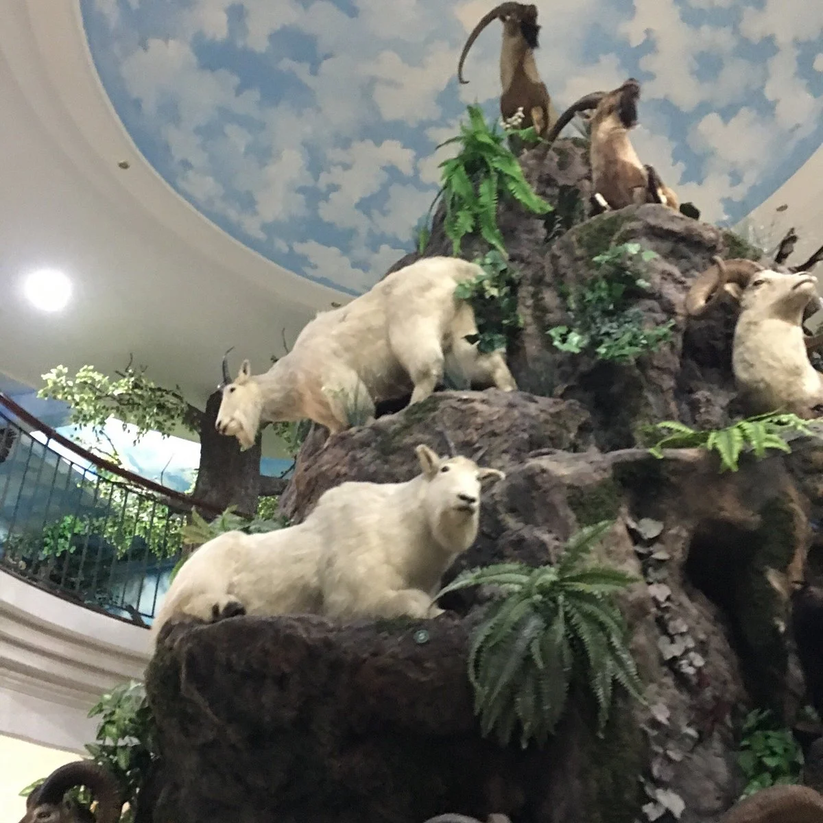 Rahmat International Wildlife Museum & Gallery