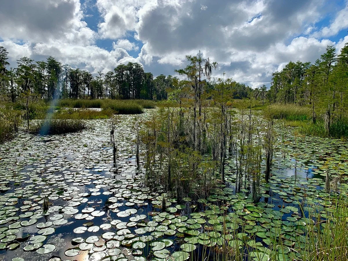Tibet-Butler Preserve
