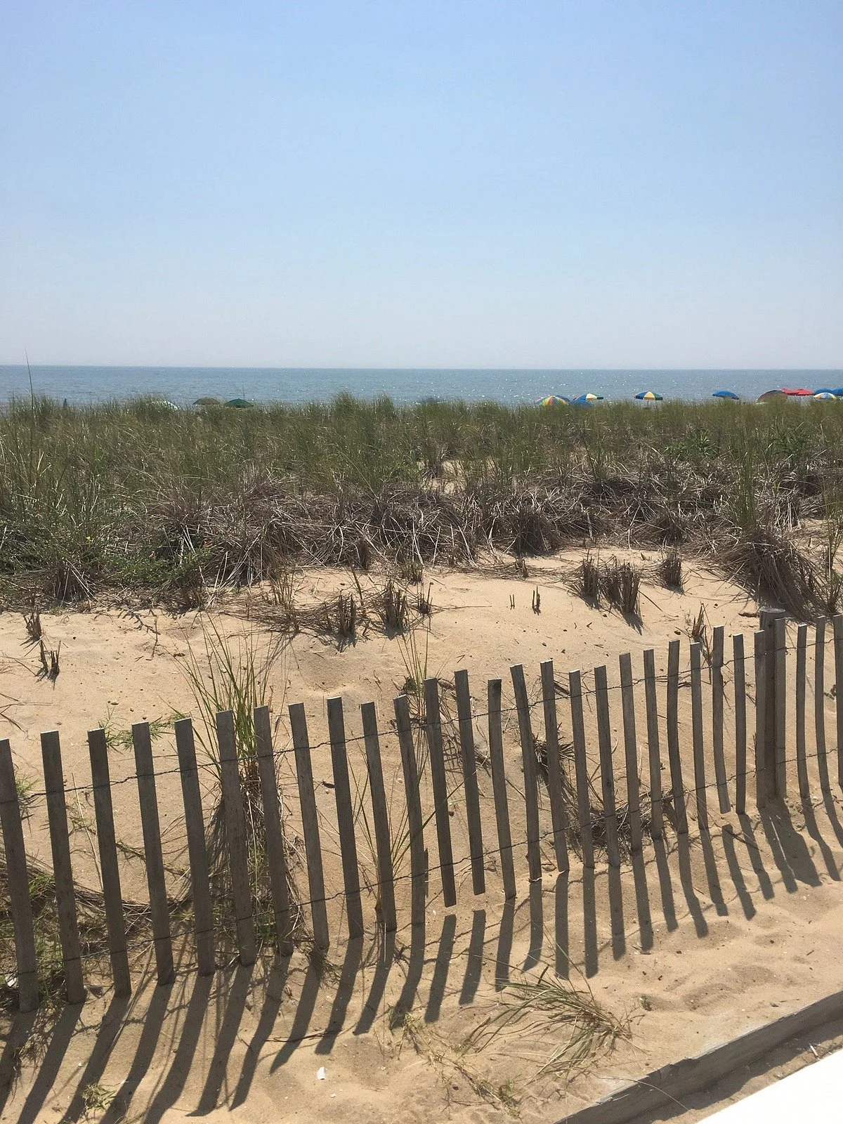 Dune Nature Park