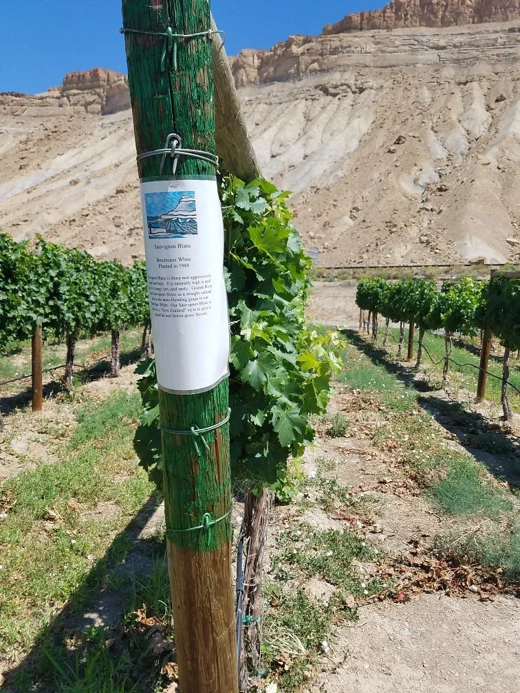 Grande River Vineyards & Winery