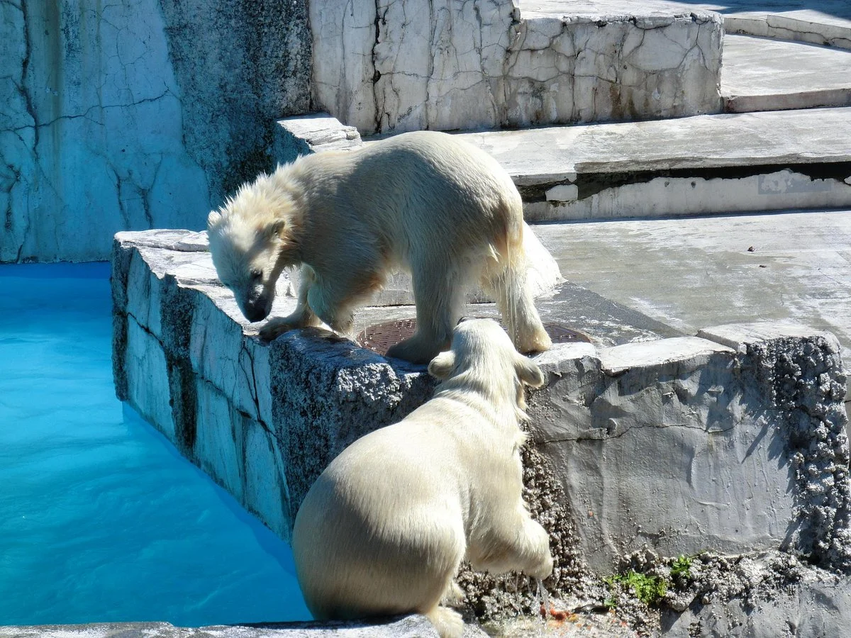 Maruyama Zoo