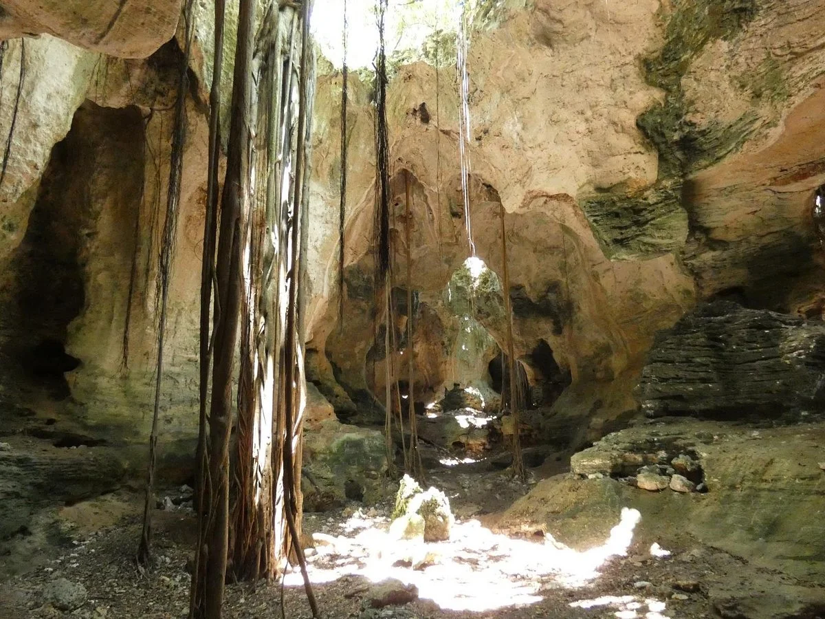 Cathedral Cave (Spider Cave)