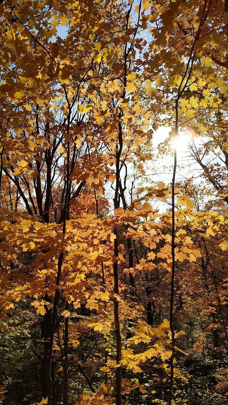 Hockley Valley Provincial Nature Reserve