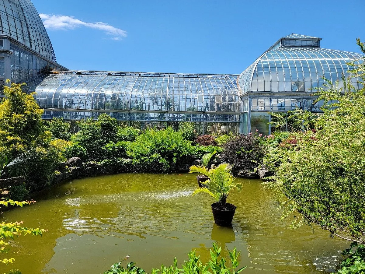 Anna Scripps Whitcomb Conservatory