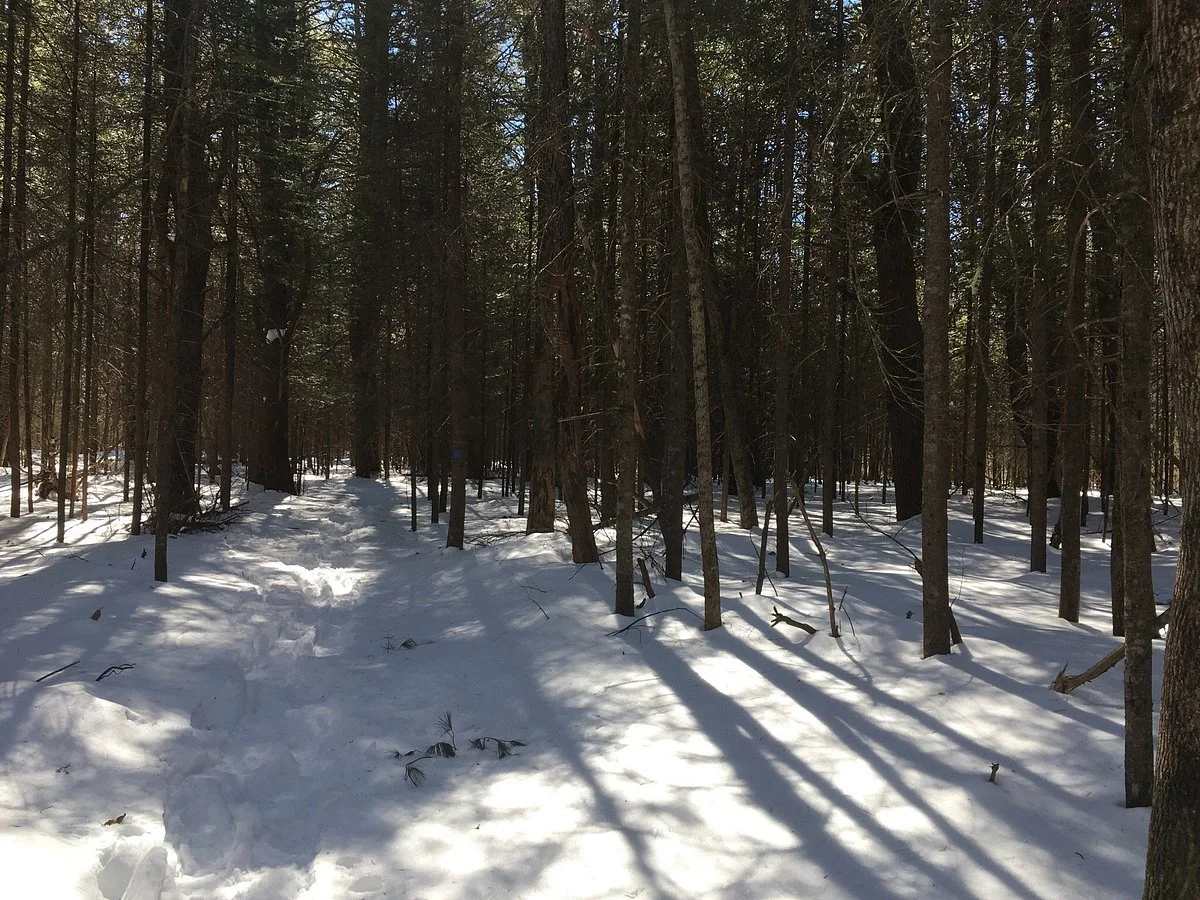 Mast Landing Sanctuary