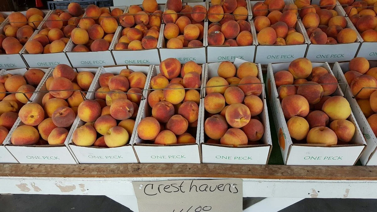 Flamm Orchards