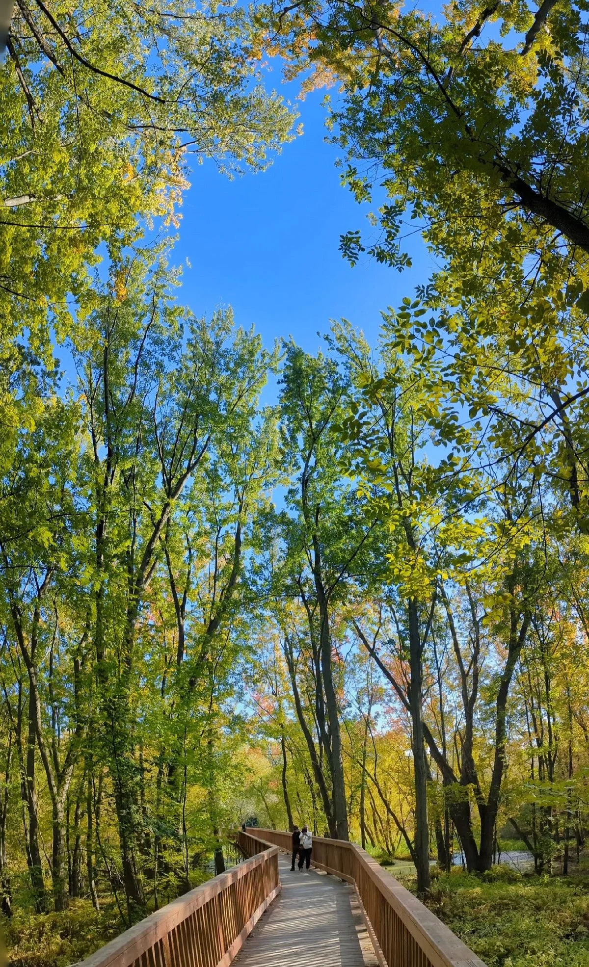 Parc Ecologique de l'Anse-du-Port