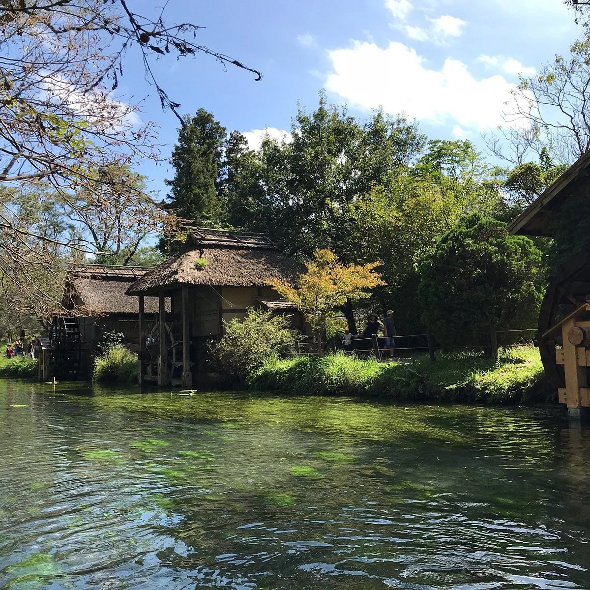 Daio Wasabi Farm