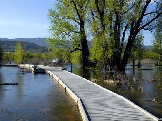 Rotary Park Boardwalk