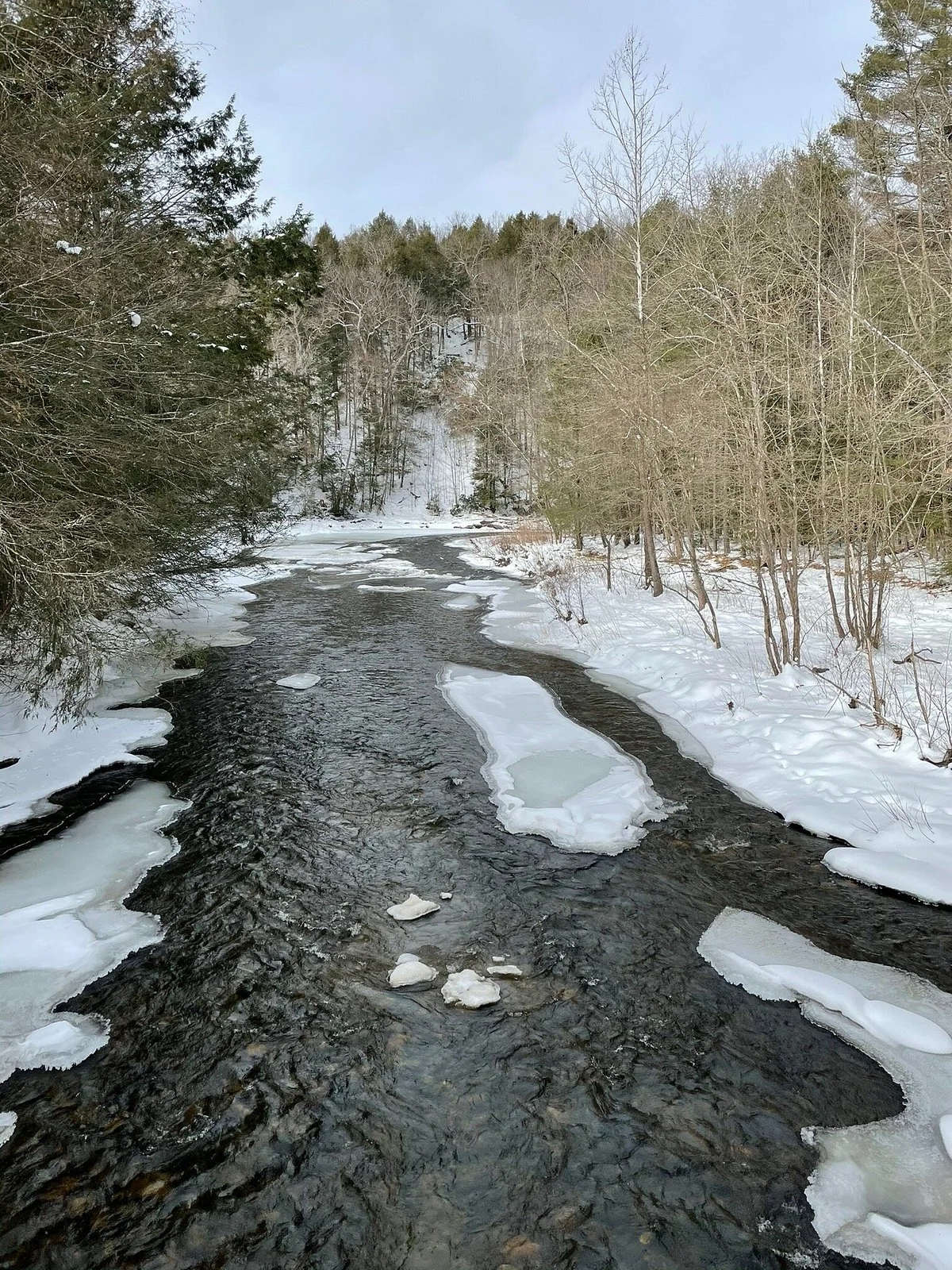 Steep Rock Preserve