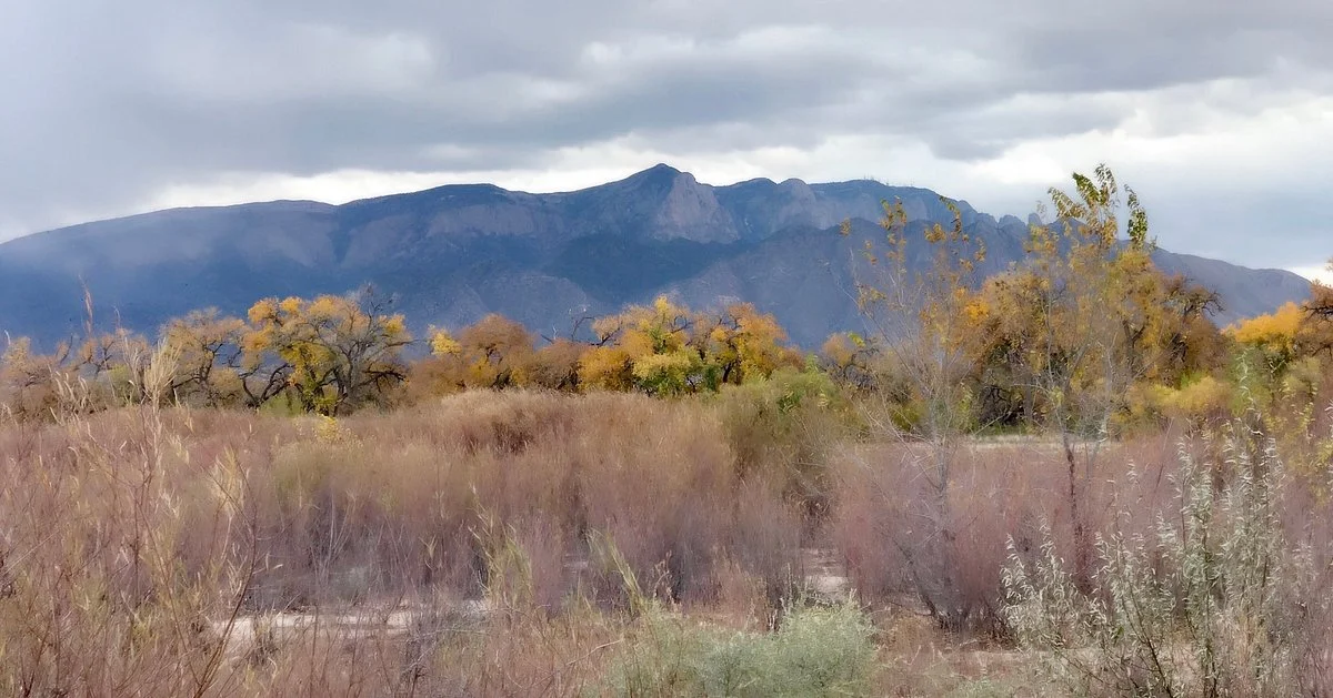 Willow Creek Trail