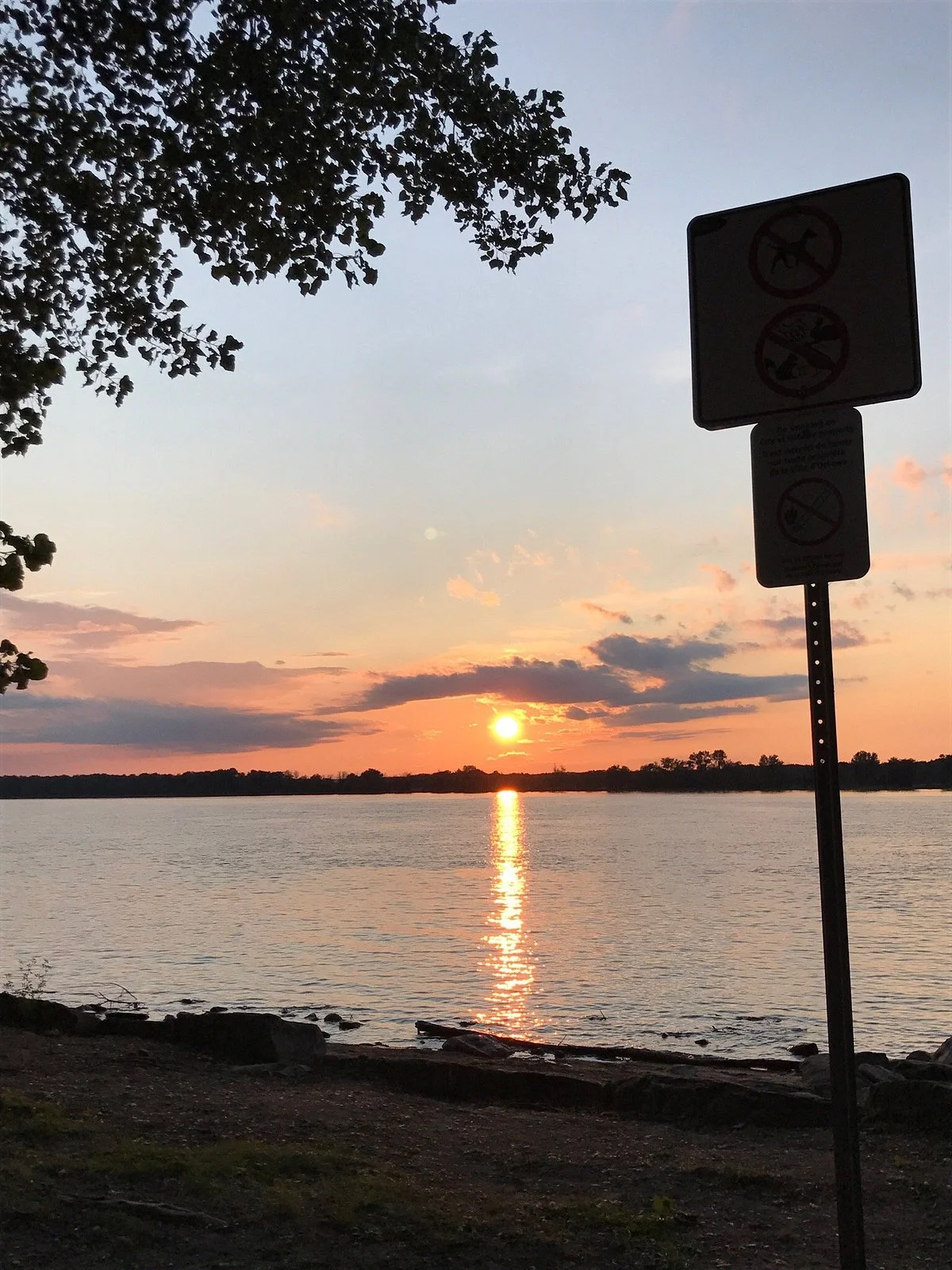 Petrie Island Park